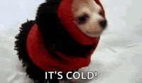 Freezing Cold Weather GIF by MOODMAN