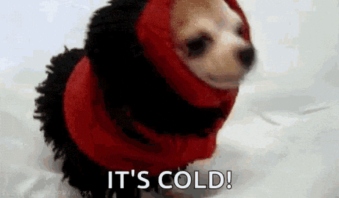 https://media0.giphy.com/media/giFLHb8U7IhLgvB6wC/giphy.gif?cid=28f76e61xgld0cs3ryebrfdblabjt2igf1s7qx3bmhfr7oqh&rid=giphy.gif&ct=g
