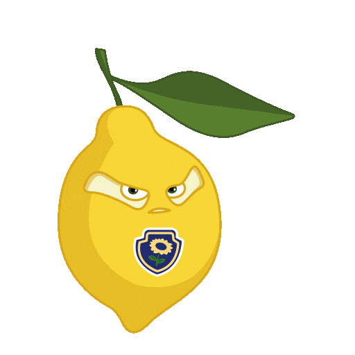 LENTA Sticker
