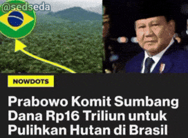 Prabowo Sawit GIF