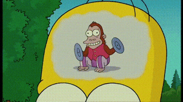 Sort Of GIF