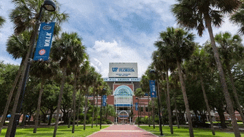 Palm Tree Football GIF by University of Florida