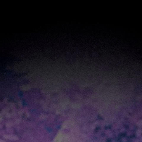 3 GIF