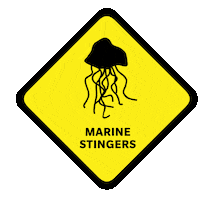 Surf Life Saving Queensland Sticker