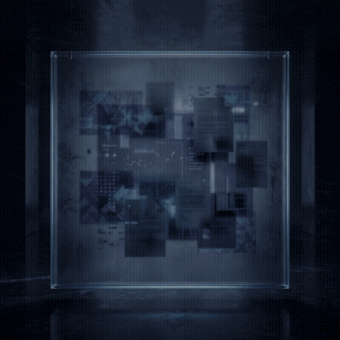 Show Me GIF by WhyAxisOrg