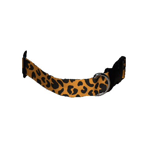 Sheppie Sticker by sheppiehalsband