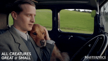 Happy Road Trip GIF by MASTERPIECE | PBS