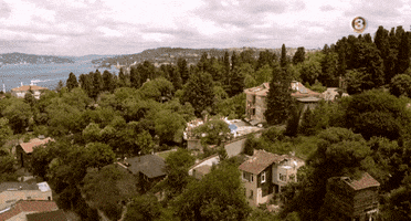 Felesegekluxuskivitelben GIF