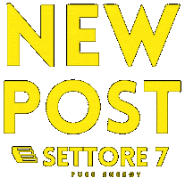 Settore 7 Sticker