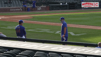Chicago Cubs Dance GIF by Marquee Sports Network