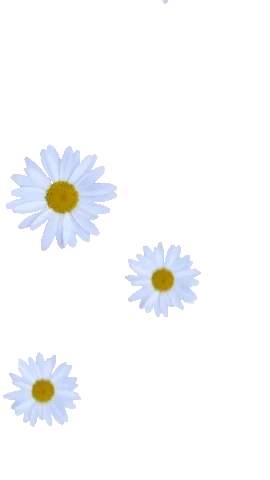 Bienvenidos al nuevo foro de apoyo a Noe - Página 17 Giphy.webp?cid=ecf05e47fm1ekvi7nqp0bg89ayk4wknxmq7sp43h5644ynz5&rid=giphy