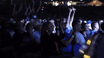 Standing Ovation Concert GIF by Summerfest