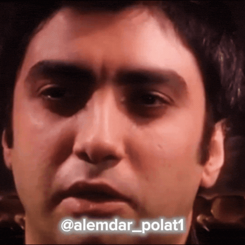 Kurtlar Vadisi Polat GIF