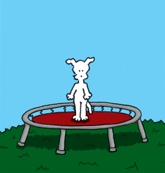 Jump Love GIF by Chippy the Dog