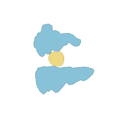 Bandera Argentina Sticker