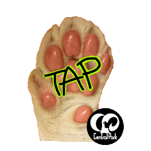 Tap Click Sticker by HcpSafari