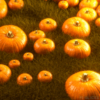 Pumpkin Patch Art GIF by Pi-Slices