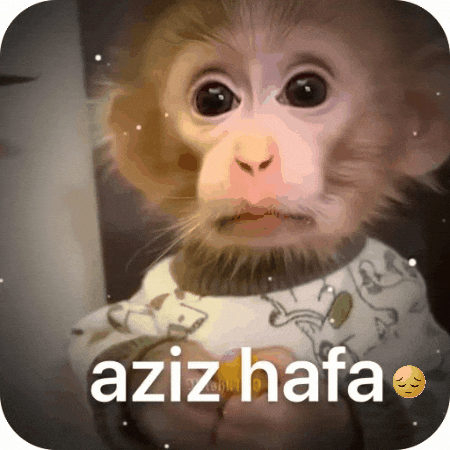 Monkey GIF