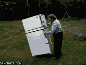 Fridge GIFs - Get the best GIF on GIPHY