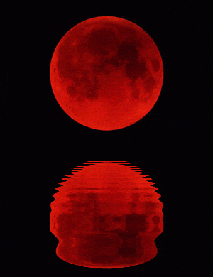 moon eclipse red blood moon animated gif