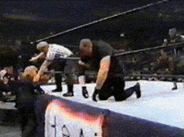 Wwe GIF