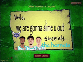 Charlotte Hornets GIF