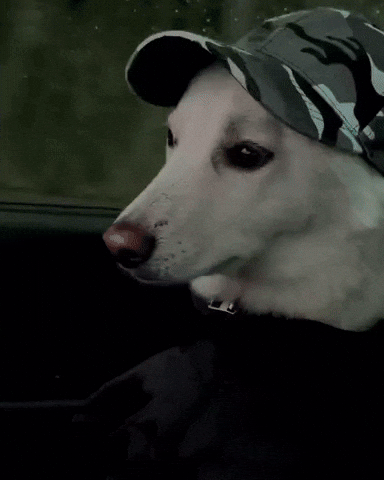 Eminem Dawg GIF