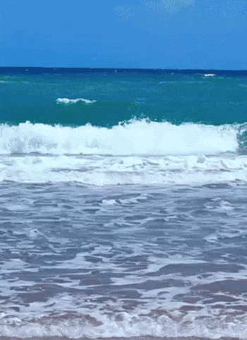 Zanzibar00010 GIF