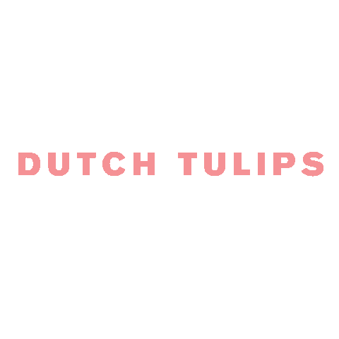 Dutch Tulips Sticker