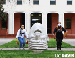Celebration GIF by UC Davis