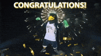 Congratulations, Seahawks!