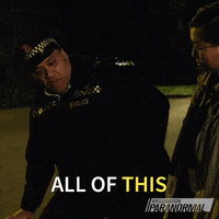Sarge GIF by Wellington Paranormal