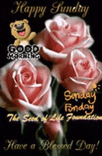Blessed-sunday GIFs - Get the best GIF on GIPHY Blessed-sunday GIFs - Get the best GIF on GIPHY