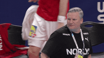 France Smile GIF by EHF