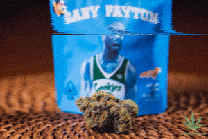 Weed GIF