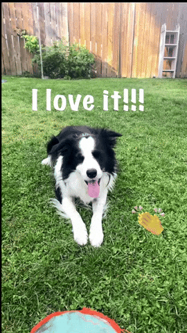 I Love It GIF