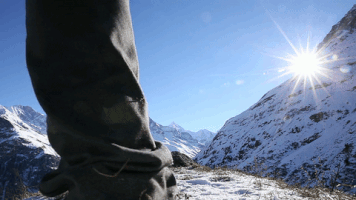 soogif gettyimages GIF