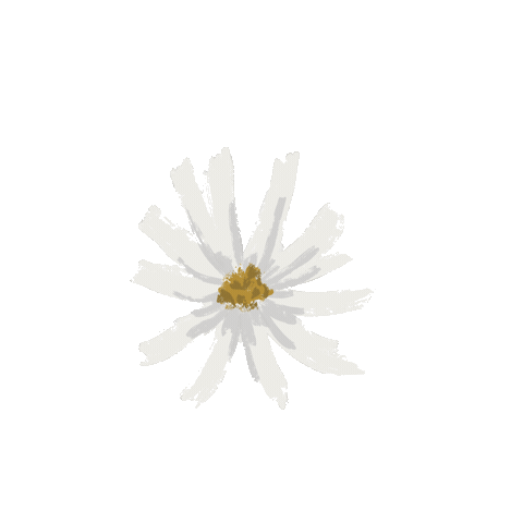 Wildflowercreativeut Sticker