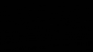Dynamic GIF