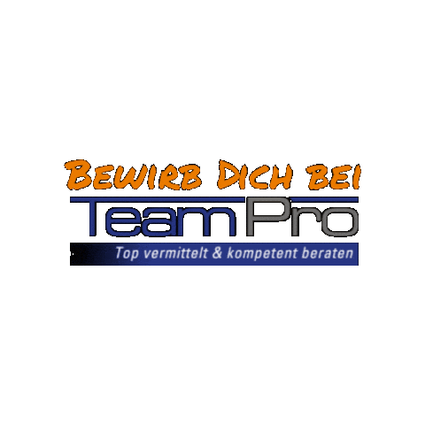 TeamProPersonaldienstleister Sticker