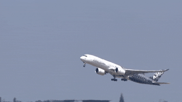 Airplane Airbus GIF by Safran