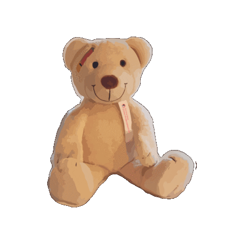 Sts Sticker by Steun Emma