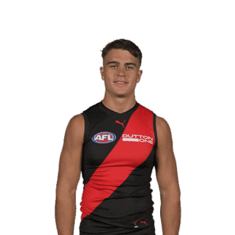 Dons Bombers Sticker by Essendon FC