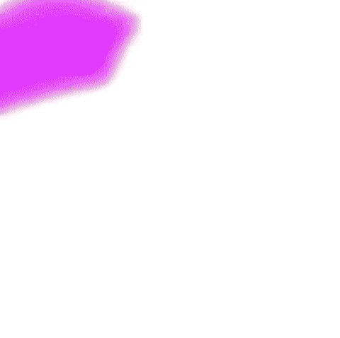Who Is This Cat GIF