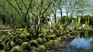 greatgardens GIF by NOWNESS