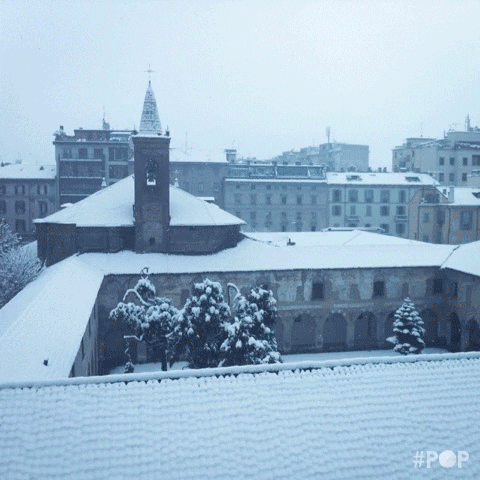 snow GIF by GoPop