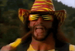 Randy Savage GIF