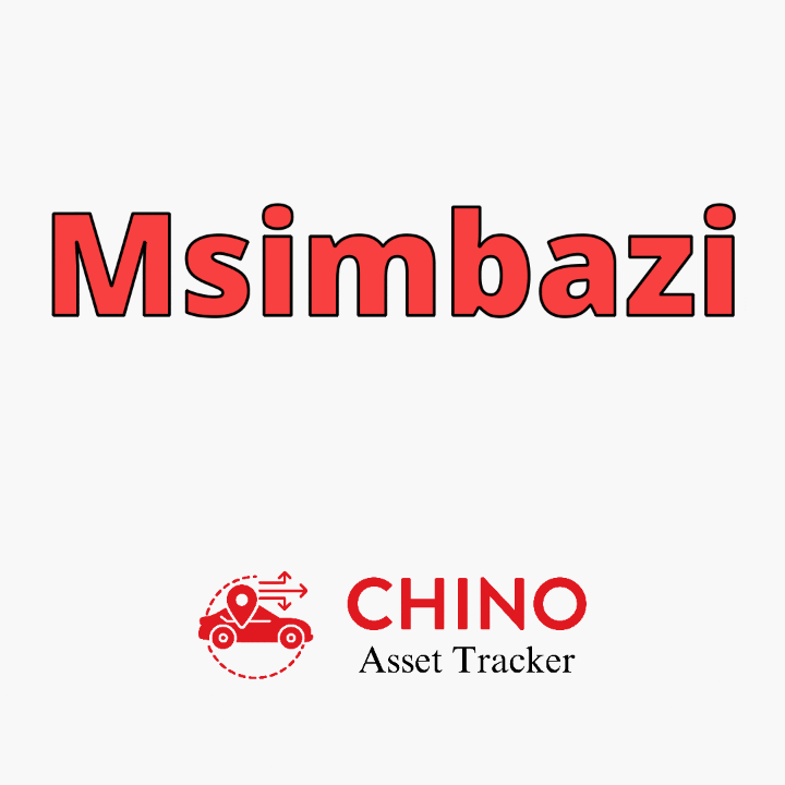 Simba GIF by chino asset tracker