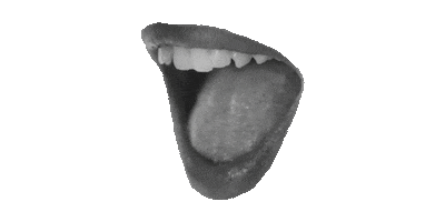 Brand Shop Sticker by KOH Clothing