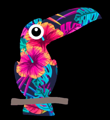 warao GIF
